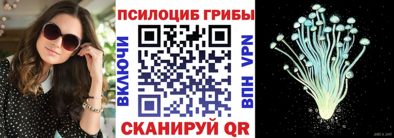 Галлюциногенные грибы ЛСД  Купить закладки  Цимлянск 